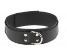 1.5 inch Double Strap Collar Original Cut - Black	 Sex Toy Product