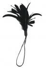 Pleasure Feather Black Sex Toy Product