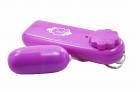 Cloud 9 Vibrating Bullet Purple Attached Remote Sex Toy Product