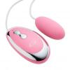 Cloud 9 Bullet Pink 12 Speed with Remote Sex Toy Product Image 1
