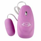 Cloud 9 Bullet Pink 12 Speed with Remote Sex Toy Product