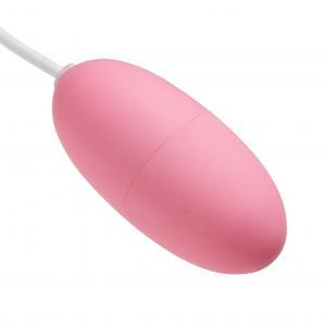 Cloud 9 Bullet Pink 12 Speed with Remote Sex Toy Product