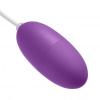 Cloud 9 12 Speed Bullet Vibrator Sex Toy Product Image 3