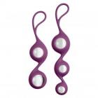 Cloud 9 Health & Wellness Borosilicate Kegel Training Set - Plum Sex Toy Product