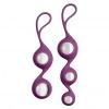 Cloud 9 Health & Wellness Borosilicate Kegel Training Set - Plum Sex Toy Product Image 1