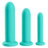 Cloud 9 Health & Wellness Silicone Dilator Kit (for Vaginal Or Anal Use) Sex Toy Product Image 1