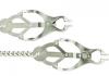 Endurance Butterfly Nipple Clamps With Link Chain - Silver	 Sex Toy Product Image 1