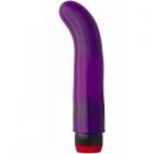 Caribbean Jelly G Spot Vibe - Purple Sex Toy Product
