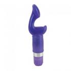 Platinum Edition Personal Pleasurizer 2.5" Insertable - Purple Sex Toy Product