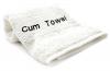 Towels With Attitude Cum Towel Sex Toy Product Image 1