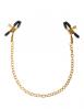 Fetish Fantasy Gold Chain Nipple Clamps Sex Toy Product Image 1