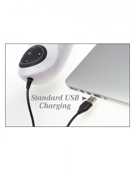 Mega Bator Rechargeable Strokers - Pussy  Sex Toy Product