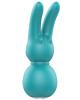 Femmefunn Funn Buddies Stubby 2 Massager Turqouise Sex Toy Product Image 1
