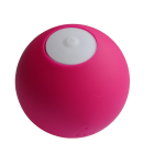 Boule Blonde (Pink) Case of 6  Sex Toy Product