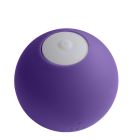 Boule Blonde (Purple) Case of 6 Sex Toy Product