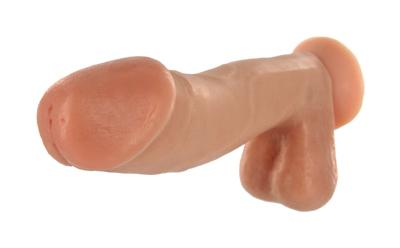 Morning Wood 6.5 Inches Dildo With Suction Cup - Bulk	 Sex Toy Product