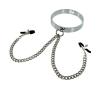Chrome Slave Collar With Nipple Clamps S/M Sex Toy Product Image 2