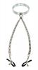 Chrome Slave Collar With Nipple Clamps S/M Sex Toy Product Image 3