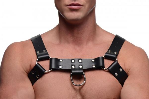 English Bull Dog Harness With Cock Strap Black Sex Toy Product