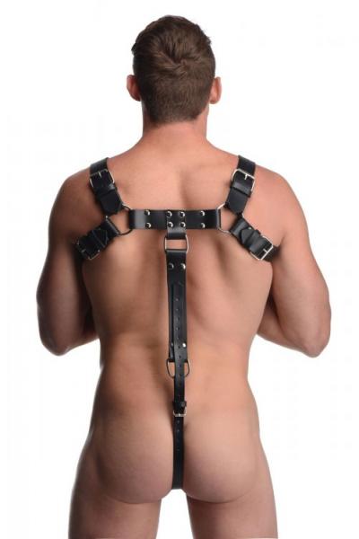 English Bull Dog Harness With Cock Strap Black Sex Toy Product