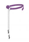 Ball Gag With Nipple Clamps Purple Sex Toy Product