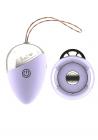 Retro Isley Purple Vibrating Remote Egg Sex Toy Product