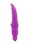 Scallop Bullet Vibrator Purple Sex Toy Product