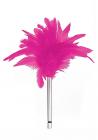 Feather Tickler - Pink Sex Toy Product