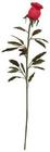 Rose Bud Feather Tickler Red