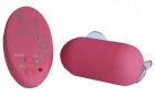 Wireless 10 function Egg