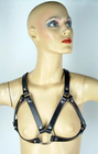 Bra Harness