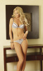Stripes and Lace Bra and Thong Bra and Panty Set