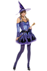Be Wicked Gypsy Witch Small/Medium