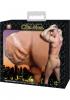 After Hours Spencer Reed Doggie Style
