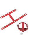 Redline T Style Ball Divider