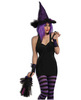 Wild 'n witchy broom