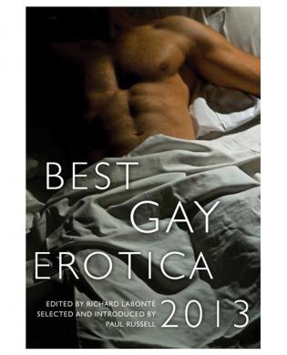 Best gay erotica book 2013