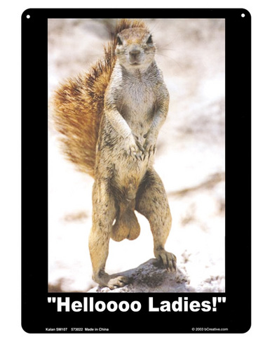 Helloooo ladies tin sign