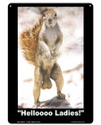 Helloooo ladies tin sign
