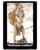 Helloooo ladies tin sign