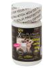 Xzen 1200 platinum sexual enhancer 6 count bottle