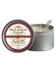 Earthly body 3 in 1 candle - 6.8 oz hot apple cider