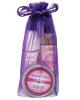 Earthly Body Summer Skin Care Bag - 8 oz Skinny Glow Oil, Dare to be Bare and 6.8 Candle