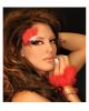 Xotic eyes - burlesque eye feather box of 1