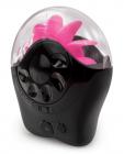 Sqweel 2 - black
