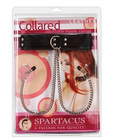 Leather collar w/broad tip nipple clamps
