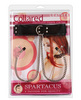 Leather collar w/broad tip nipple clamps