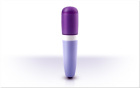 Pulse Intimate Massager