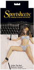 Under the Bed Restraint System