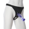 VAC-U-LOCK SET � LUCID DREAM PURPLE G-SPOT